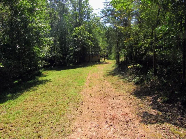 343 Hollybrook Road, Dahlonega, Georgia 30533
