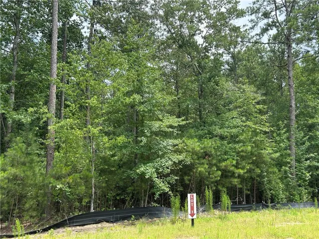 0 Hamilton Road, Chattahoochee Hills, Georgia 30268