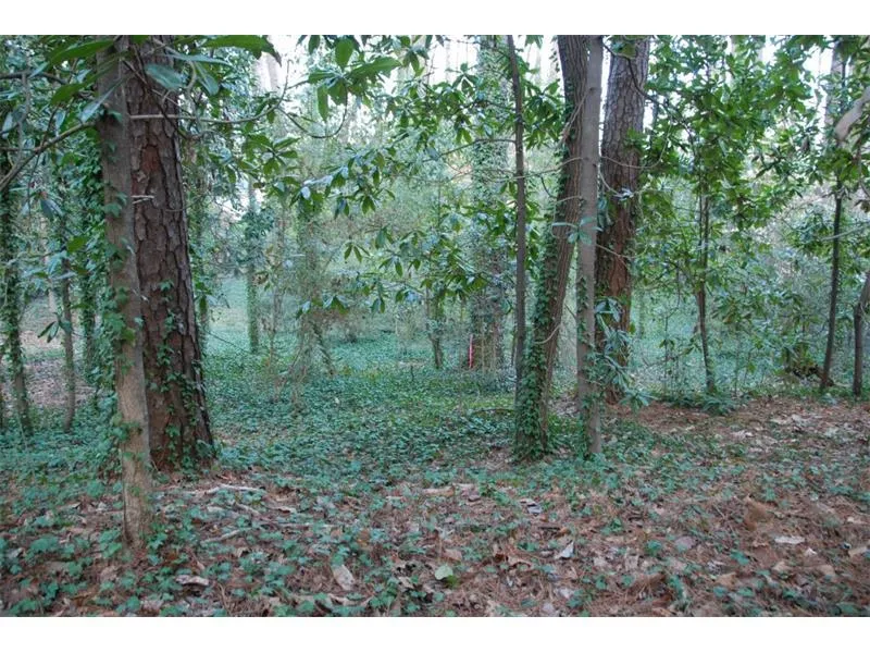 2569 Bohler Road, Atlanta, Georgia 30327, ,Land,Sold,2569 Bohler Road,5503101