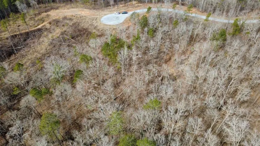 Lot 43 Bucktail Way, Talking Rock, Georgia 30175