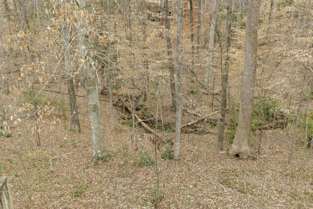 660 Bittersweet Trail, Sandy Springs, Georgia 30350, 5 Bedrooms Bedrooms, ,4 BathroomsBathrooms,Residential,Sold,660 Bittersweet Trail,7342385