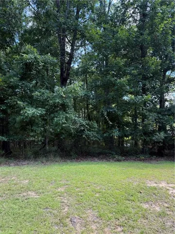 Expansive lot featuring a green lawn and mature trees