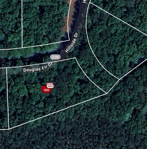 101 Douglas Fir Drive, Waleska, Georgia 30183