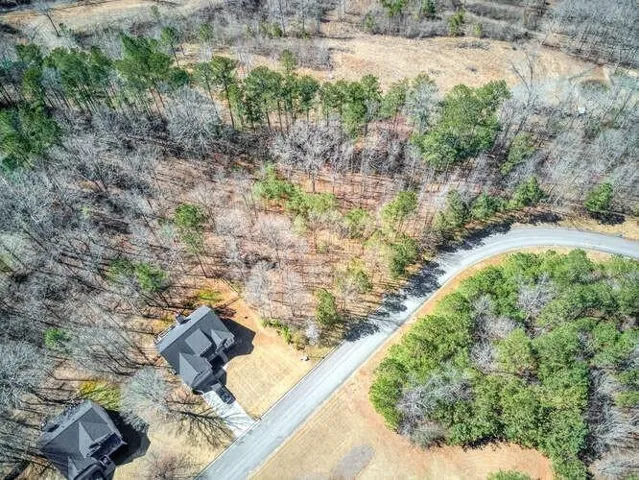 Wooded parcel featuring a curved asphalt road, surrounding deciduous and evergreen trees, and partial visibility of neighboring residences