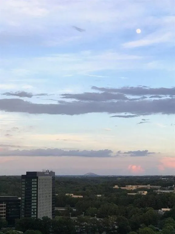 795 Hammond Drive Unit 1703, Sandy Springs, Georgia 30328, 1 Bedroom Bedrooms, ,1 BathroomBathrooms,Residential,Sold,795 Hammond Drive Unit 1703,6732685