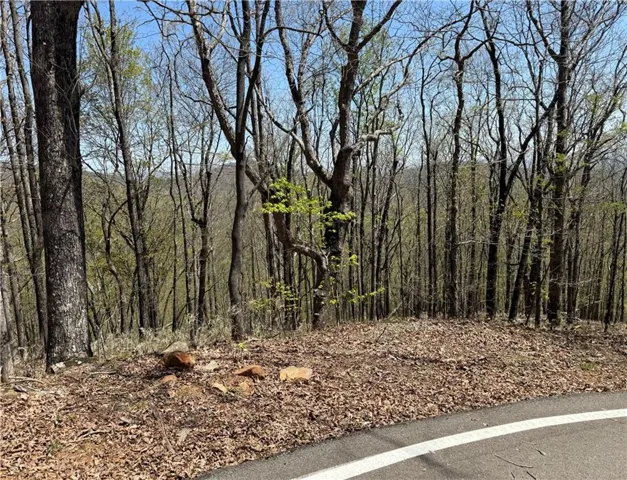 View of nature with a forest view