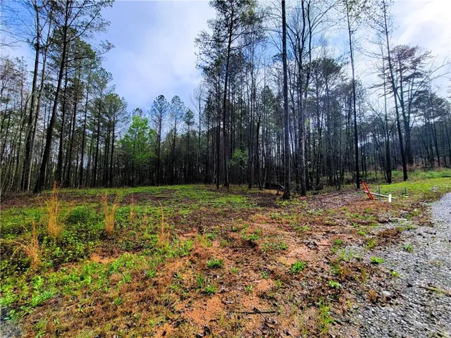 191 Mountaingate Way, Ellijay, Georgia 30536