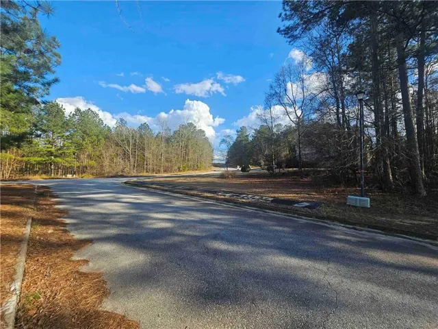 1628 Norris Landing Drive, Snellville, Georgia 30039