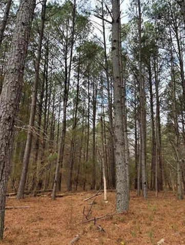 556 Benton Road, Covington, Georgia 30014