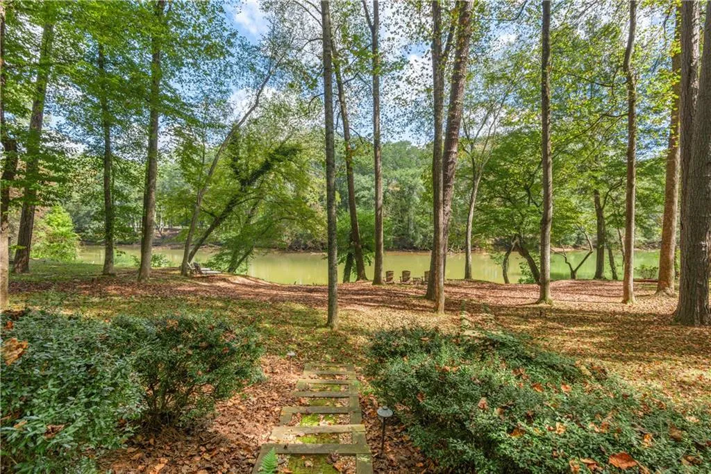 Big  Backyard