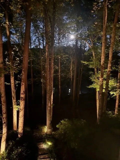 Prof Landscape Lighting