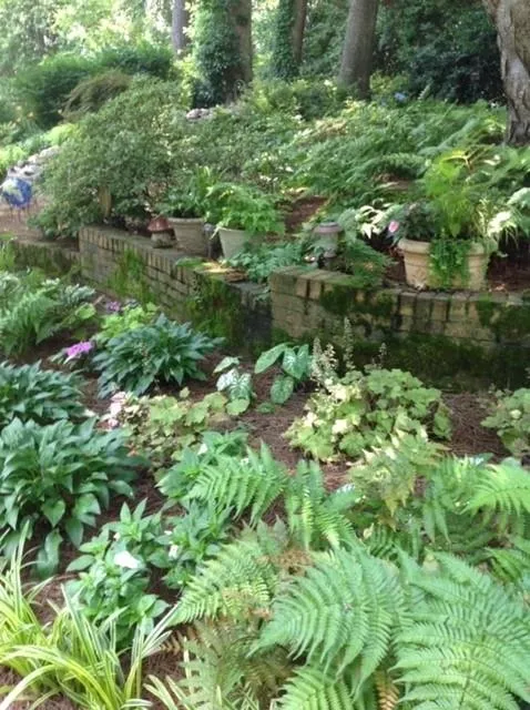 4740 Cherrywood Lane, Atlanta, Georgia 30342, 4 Bedrooms Bedrooms, ,3 BathroomsBathrooms,Residential,Sold,4740 Cherrywood Lane,6534182