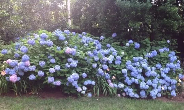 4740 Cherrywood Lane, Atlanta, Georgia 30342, 4 Bedrooms Bedrooms, ,3 BathroomsBathrooms,Residential,Sold,4740 Cherrywood Lane,6534182