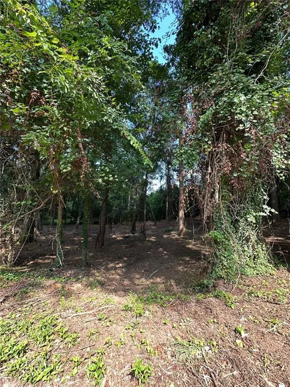2240 Bernard Road Nw, Atlanta, Georgia 30318, ,Land,For Sale,2240 Bernard Road Nw,7660524