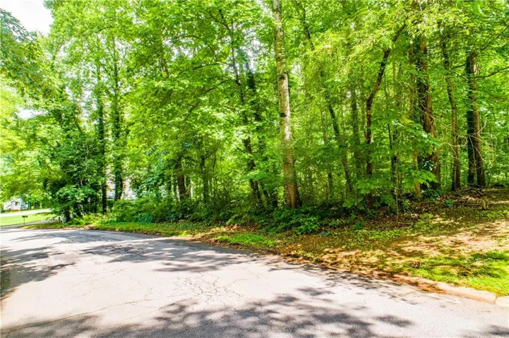 View of asphalt road with a view of trees