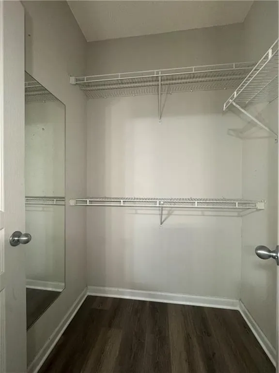 Walk in closet with dark wood-style floors