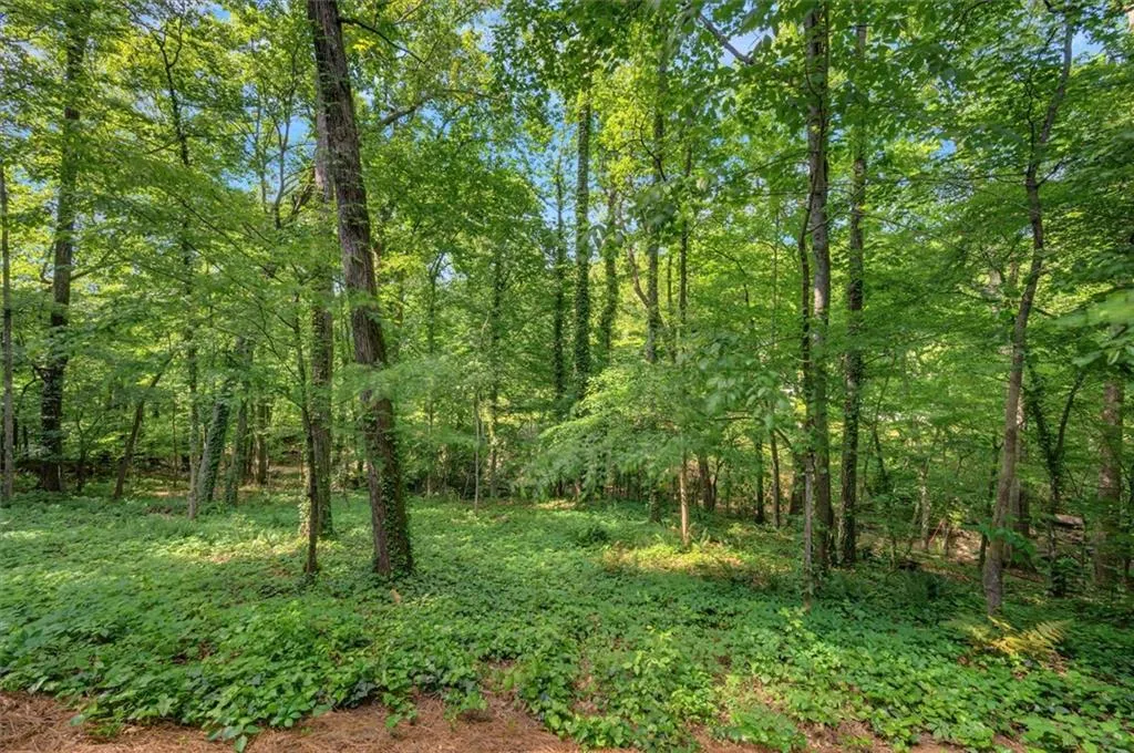 View of tree filled private Yard