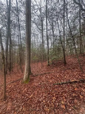 View of nature