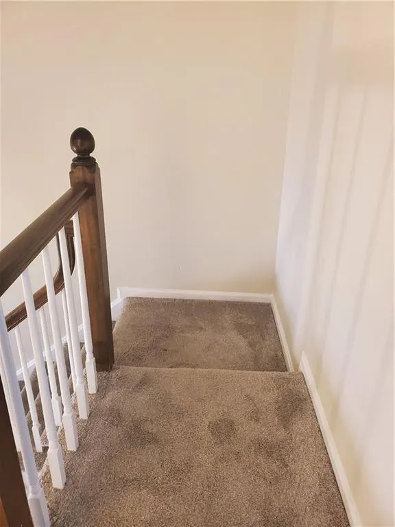 Stairs featuring carpet flooring