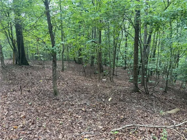 140 Joe Green Lane, Canton, Georgia 30114