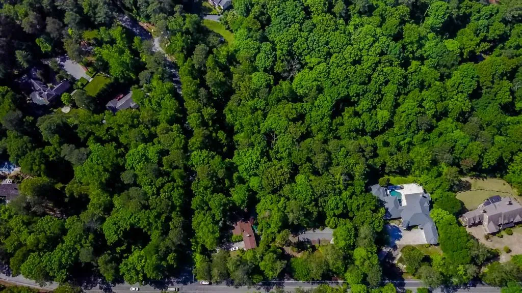 3710 Nancy Creek Road, Atlanta, Georgia 30327, 5 Bedrooms Bedrooms, ,4 BathroomsBathrooms,Residential,Sold,3710 Nancy Creek Road,5842466