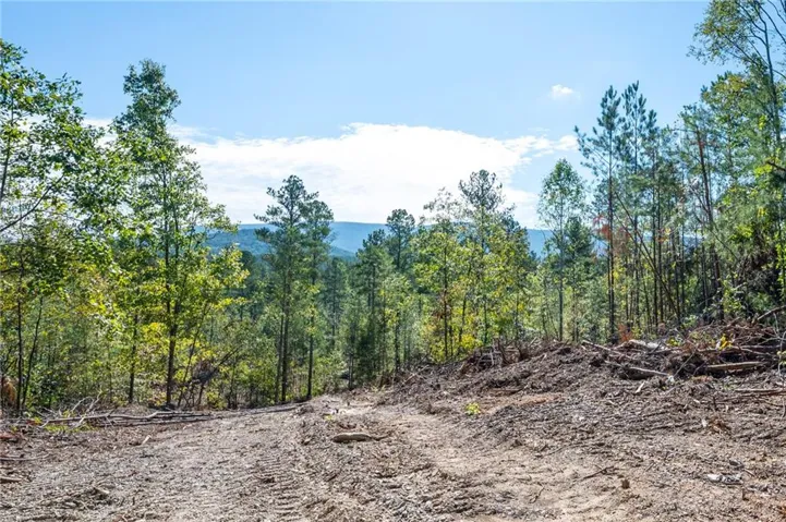 3793 Hwy 140 Ne, Rydal, Georgia 30171