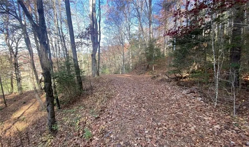 1 Barefoot Hills, Hiawassee, Georgia 30546
