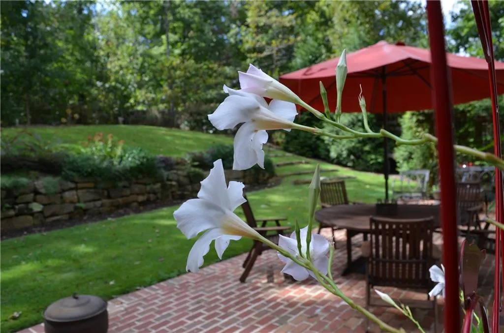 300 Stone Mill Trail Ne, Atlanta, Georgia 30328, 5 Bedrooms Bedrooms, ,3 BathroomsBathrooms,Residential,Sold,300 Stone Mill Trail Ne,6828267
