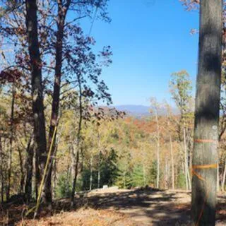 View from lot 976 Raccoon Ridge