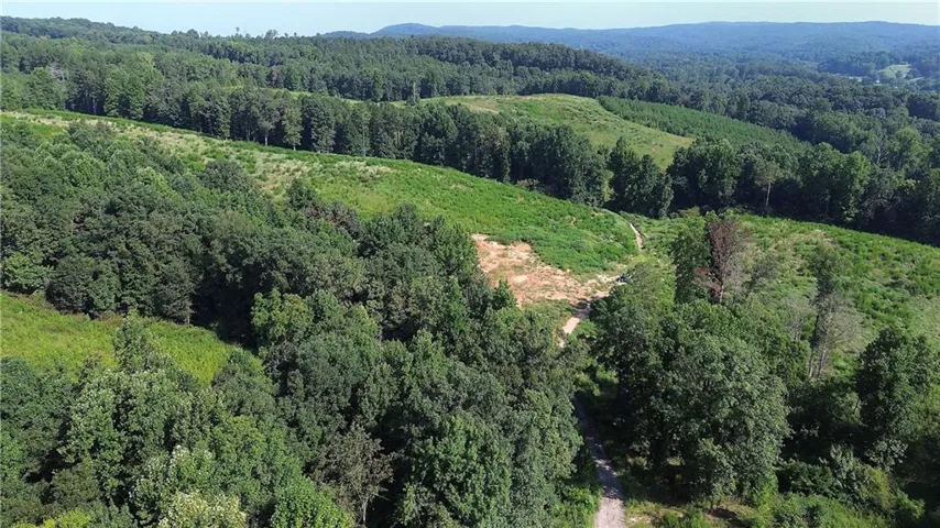 85 Lucious Acres, great for recreational or future family compound. Currently no utilities to the property