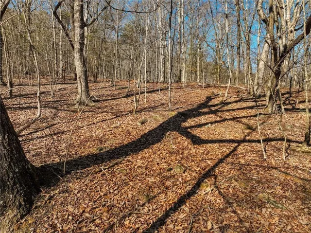 Lot 8 Mount Mincie Road, Murrayville, Georgia 30564