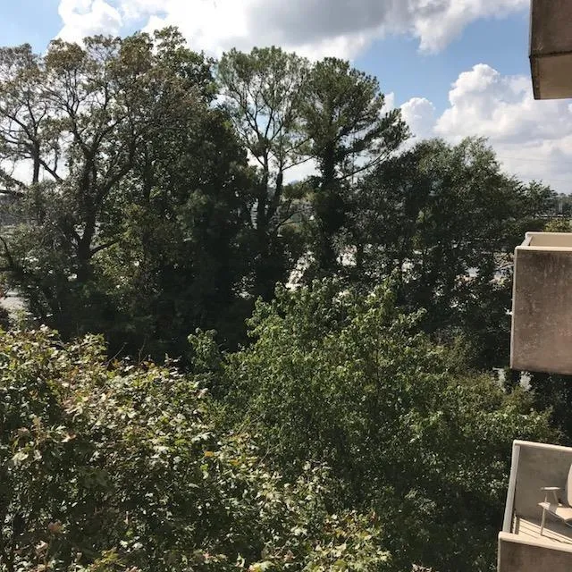 300 Johnson Ferry Road Unit B504, Atlanta, Georgia 30328, 1 Bedroom Bedrooms, ,1 BathroomBathrooms,Residential,Sold,300 Johnson Ferry Road Unit B504,5920359