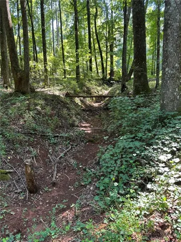2470 Fears Road, Good Hope, Georgia 30650