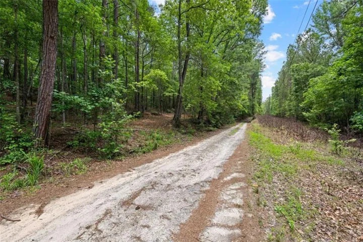 0 Terry Road, Fairburn, Georgia 30213
