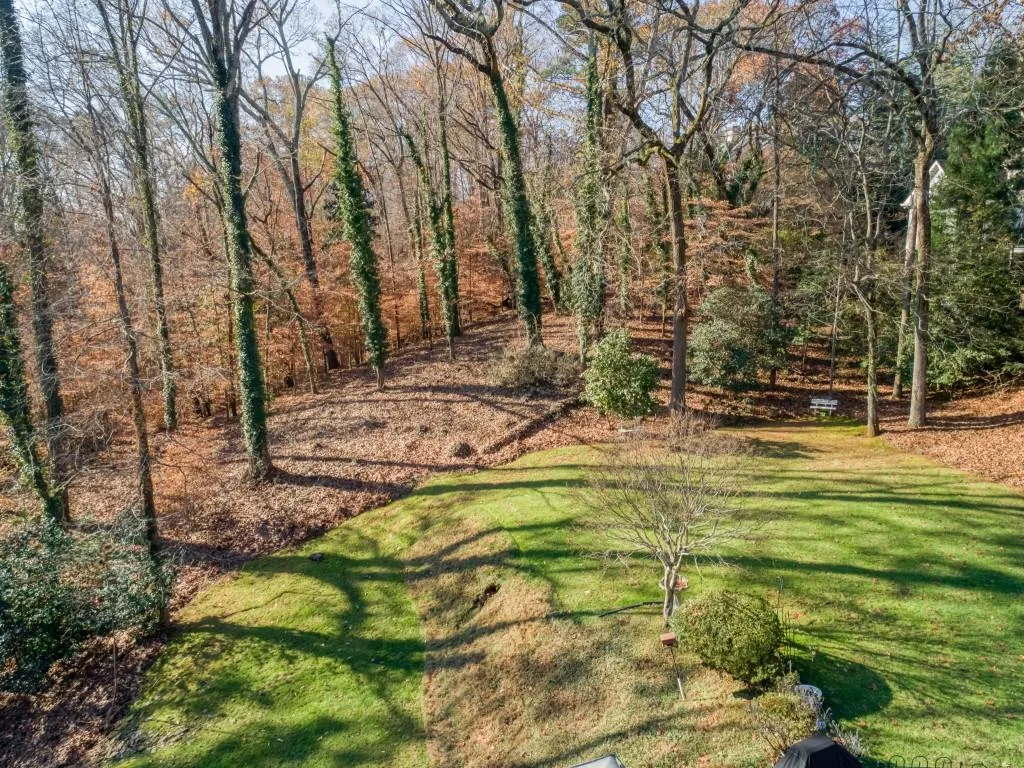 Aerial shot of back yard