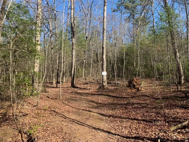 Tract2 E New Hope Road E, Ellijay, Georgia 30536