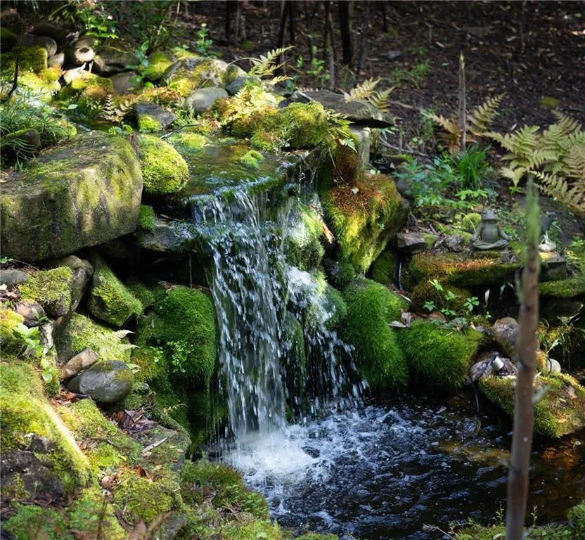 Small creek with waterfall
