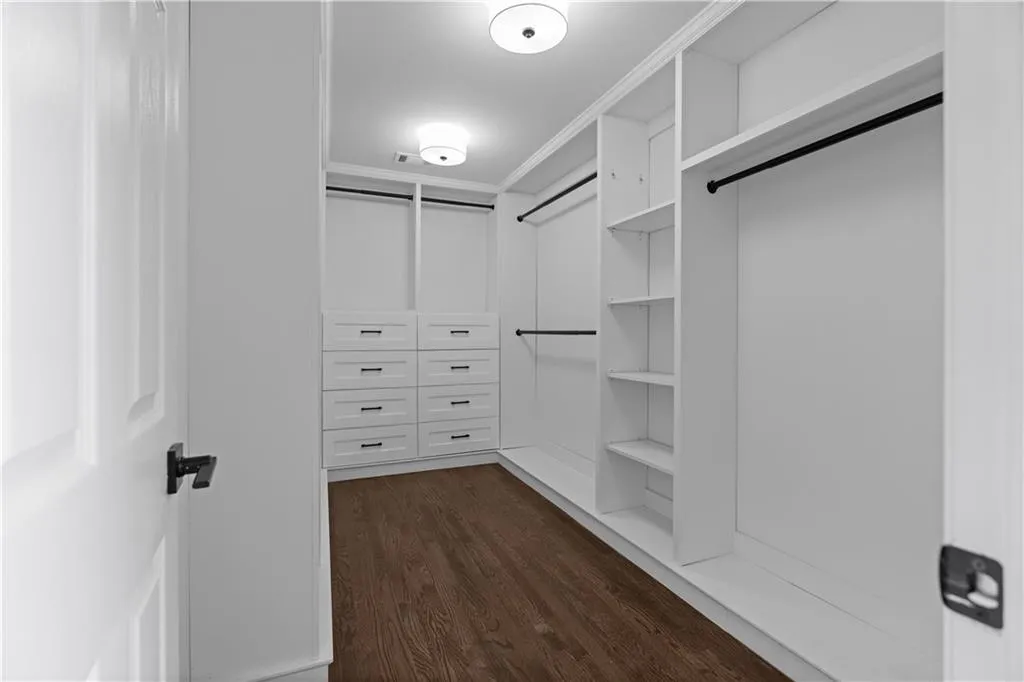 Spacious closet featuring dark wood-type flooring