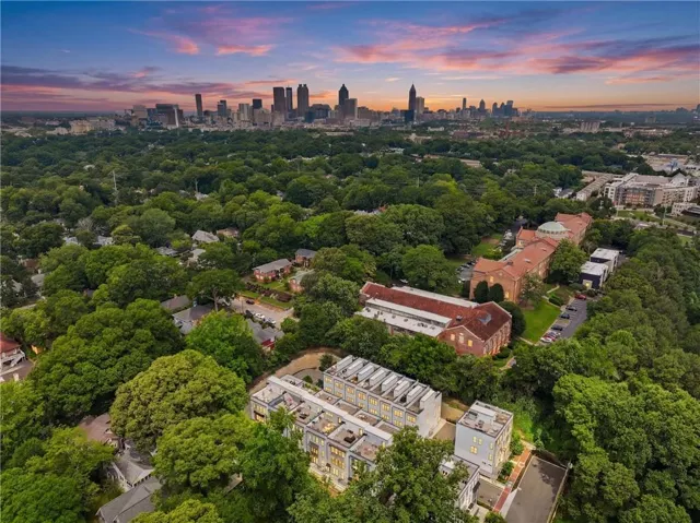 Aerial perspective showcasing a dense urban canopy, a distant city skyline, and multiple residential structures
