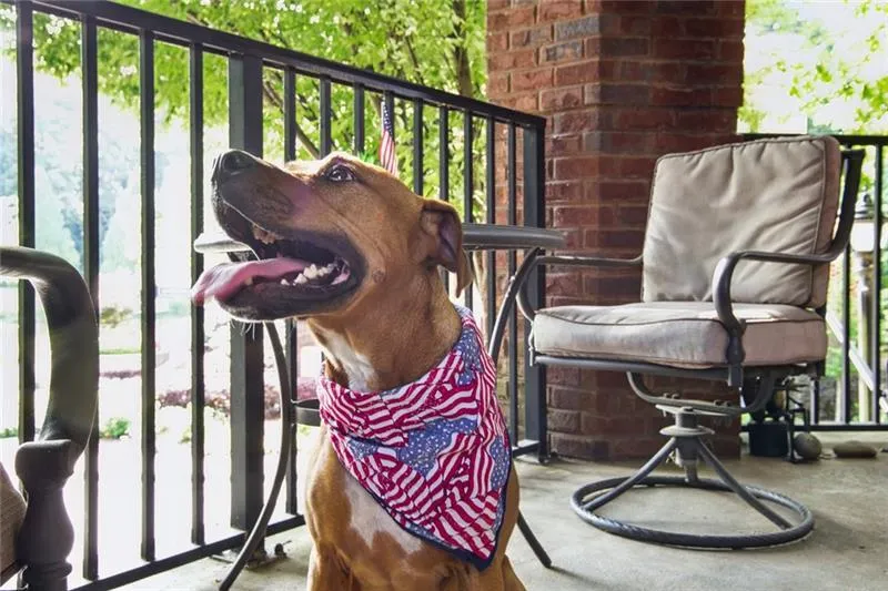 200 River Vista Drive Unit 313, Atlanta, Georgia 30339, 2 Bedrooms Bedrooms, ,2 BathroomsBathrooms,Residential,Sold,200 River Vista Drive Unit 313,7063756