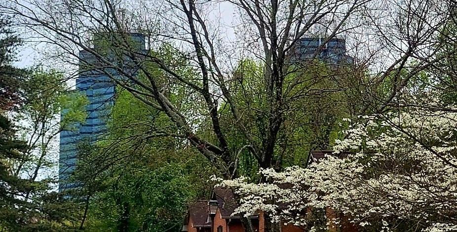 912 Garden Court, Sandy Springs, Georgia 30328, 2 Bedrooms Bedrooms, ,2 BathroomsBathrooms,Residential,Sold,912 Garden Court,7278644