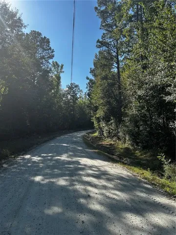 Gravel road bordered by mature trees and natural landscaping