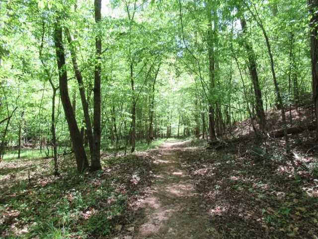 0 Chestatee Drive, Dahlonega, Georgia 30533
