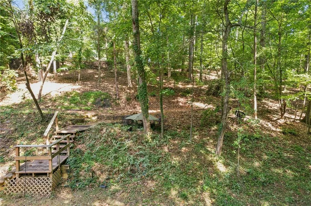 Deep wooded backyard