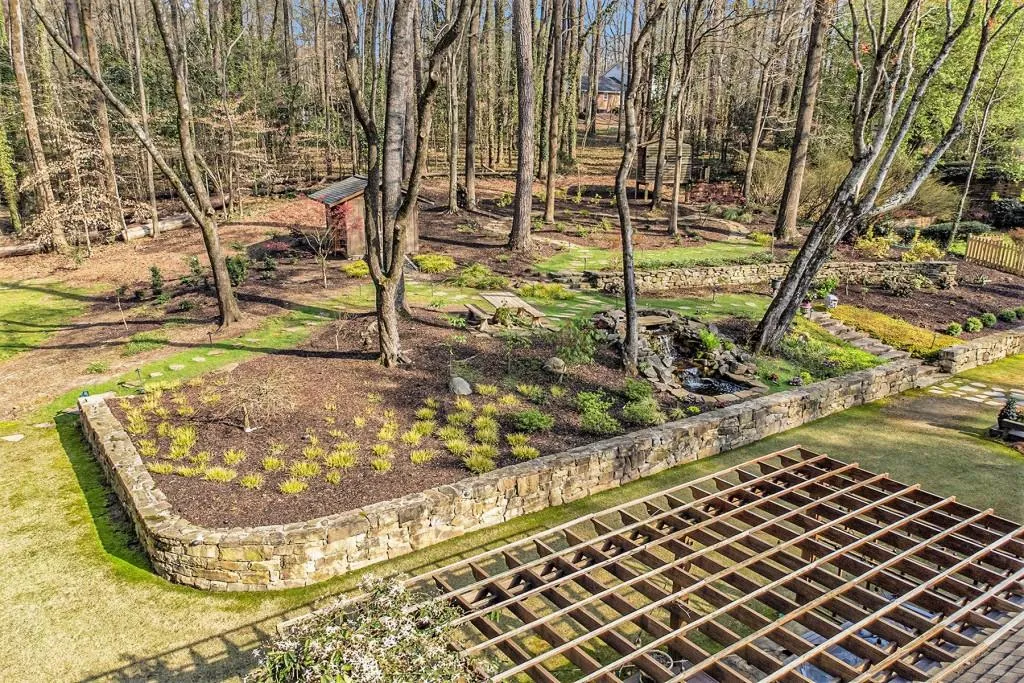 Expansive backyard