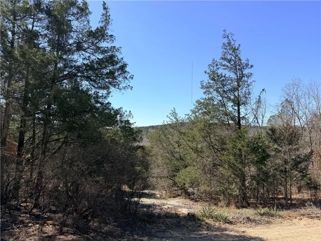 Expansive land featuring diverse evergreen and deciduous trees