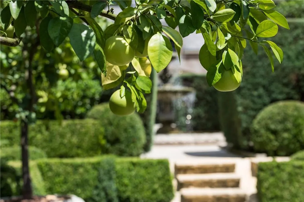 881 W Conway Drive Nw, Atlanta, Georgia 30327, 6 Bedrooms Bedrooms, ,8 BathroomsBathrooms,Residential,For Sale,881 W Conway Drive Nw,7676978