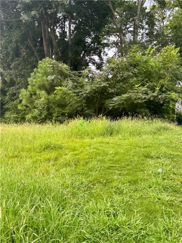 1131 Merrill Avenue Sw, Atlanta, Georgia 30310