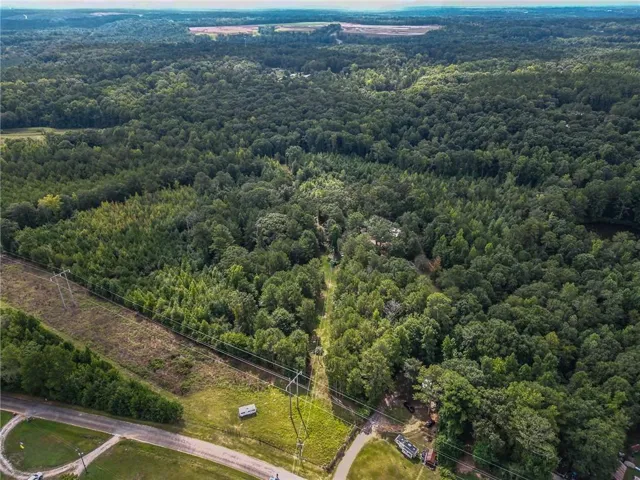 Expansive forested acreage with dense tree canopy, surrounded by additional wooded areas
