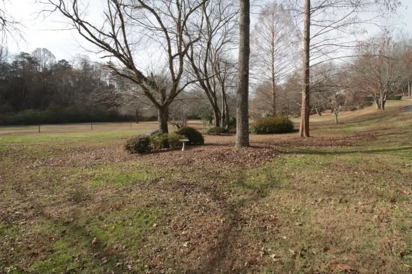 145 Seville Chase, Sandy Springs, Georgia 30328, 5 Bedrooms Bedrooms, ,5 BathroomsBathrooms,Residential,Sold,145 Seville Chase,5785554